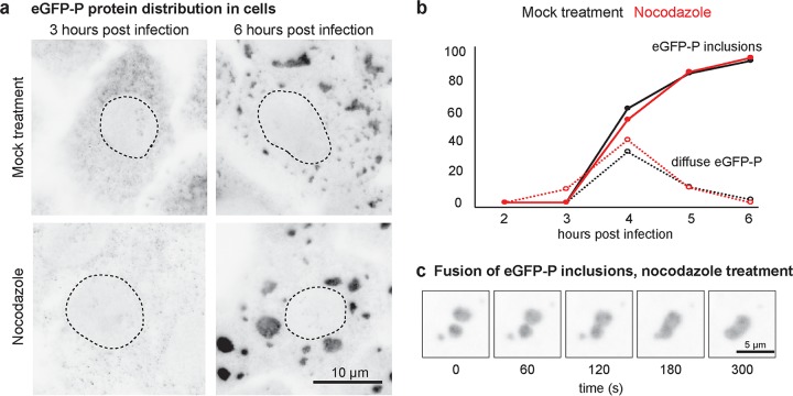 FIG 2 