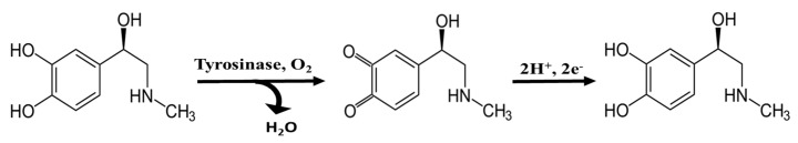 graphic file with name biosensors-09-00139-i001.jpg