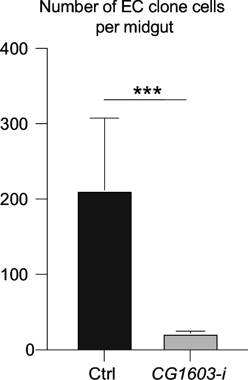 Figure 3—figure supplement 1.