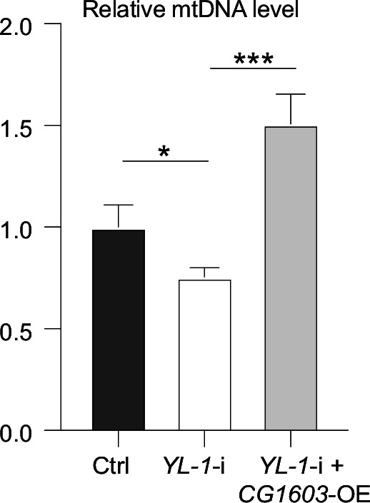 Figure 8—figure supplement 2.