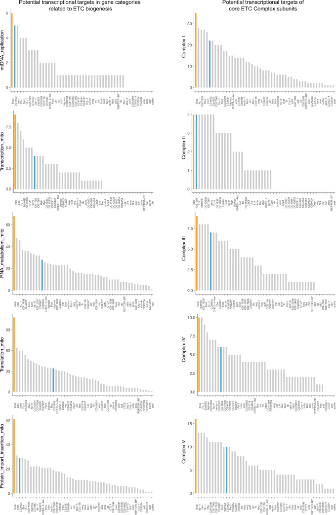 Figure 2—figure supplement 1.