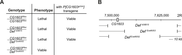 Figure 4—figure supplement 2.