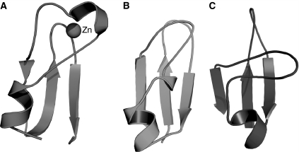 Fig. 8