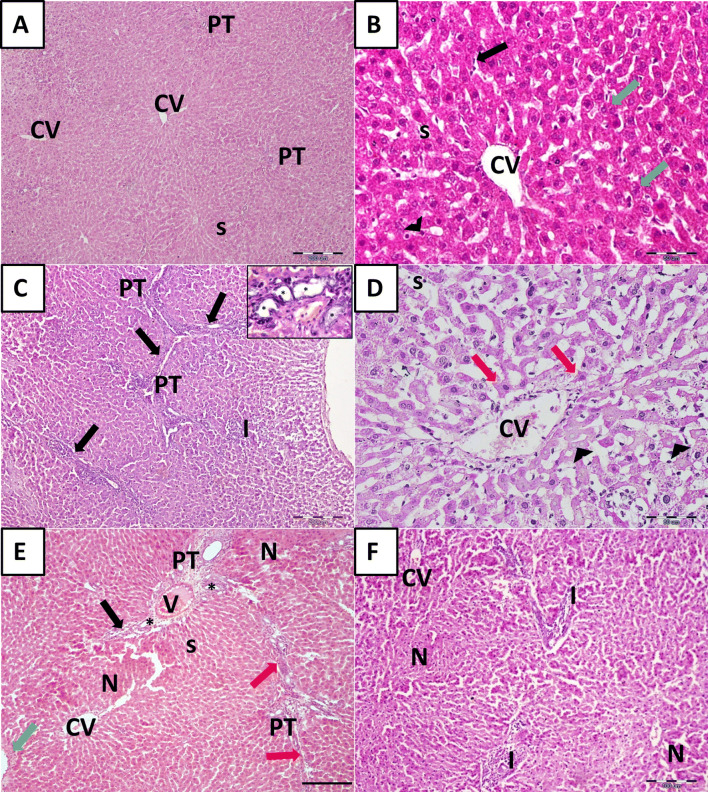 Fig. 4