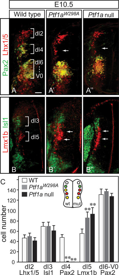 Figure 4.