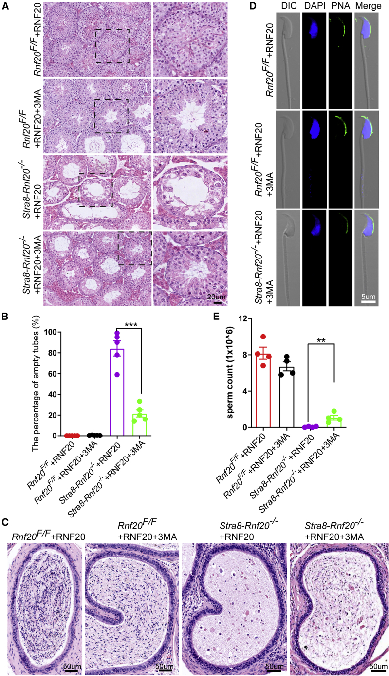 Figure 6