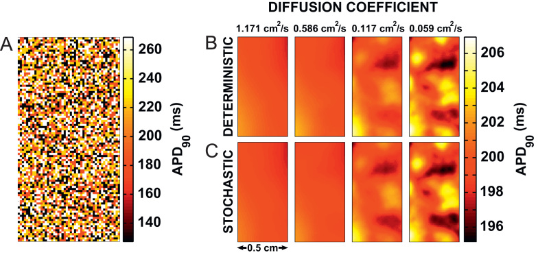 Fig. 7