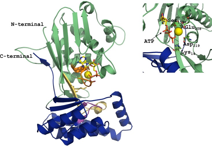 Fig 2