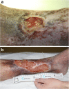 Fig. 2