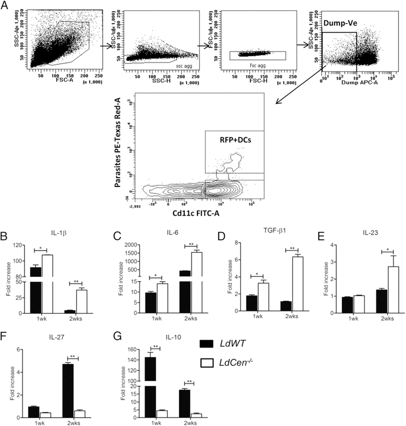 FIGURE 1.