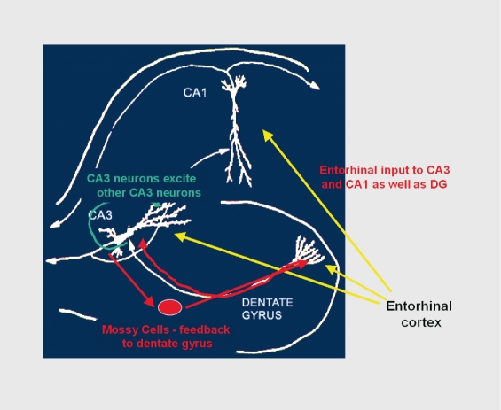 Figure 2.