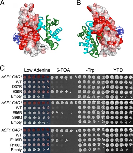 Fig 6