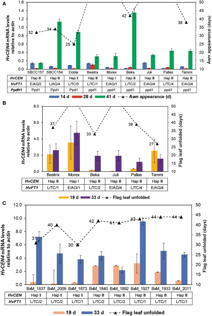 Figure 6