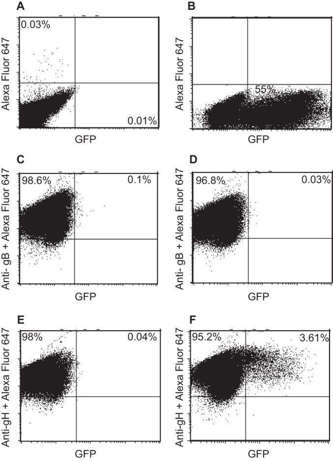 FIG 6