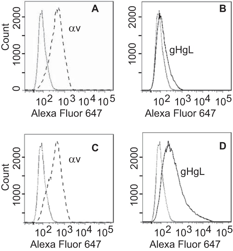 FIG 3