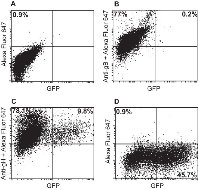 FIG 4