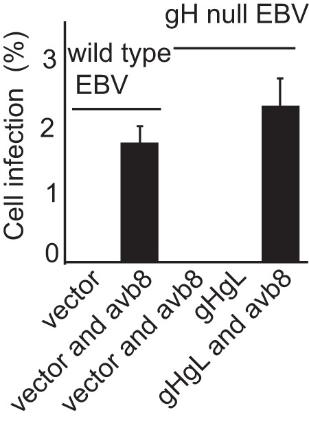 FIG 2