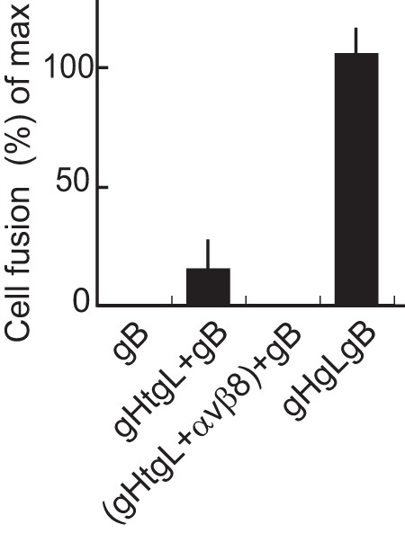 FIG 5