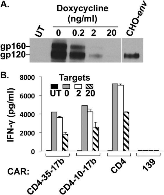 FIG 3