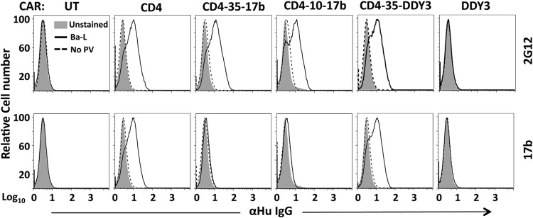 FIG 6