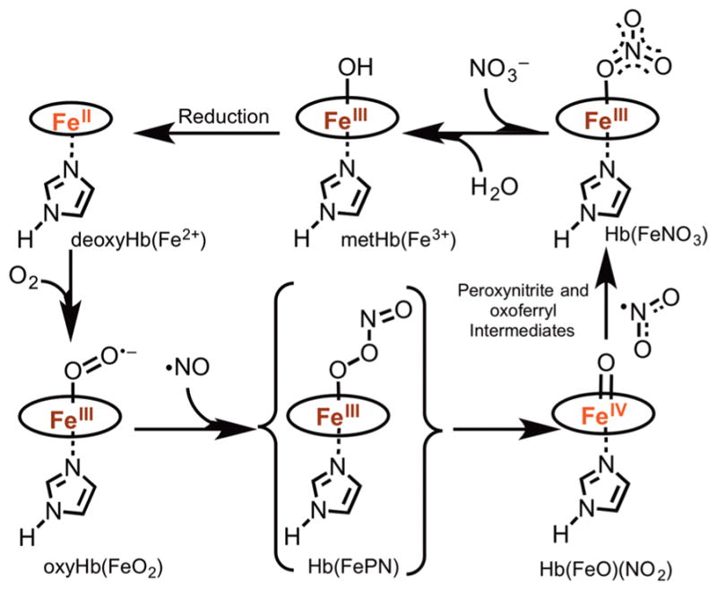 Scheme 1