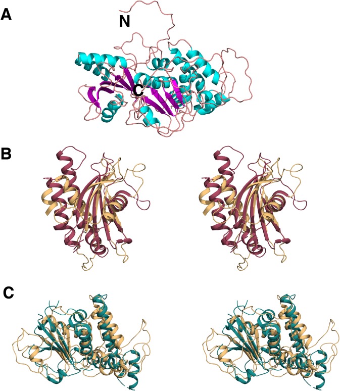 Figure 9