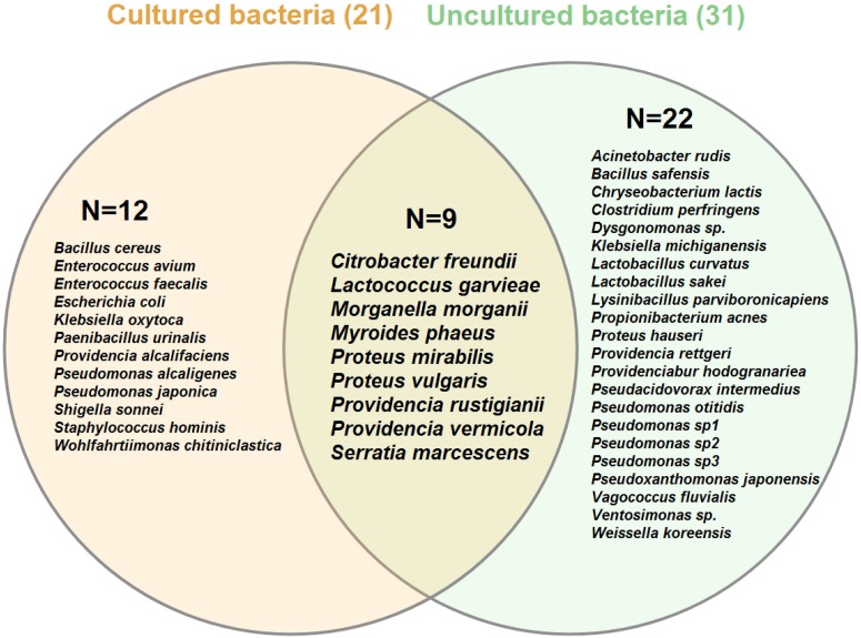 FIGURE 3