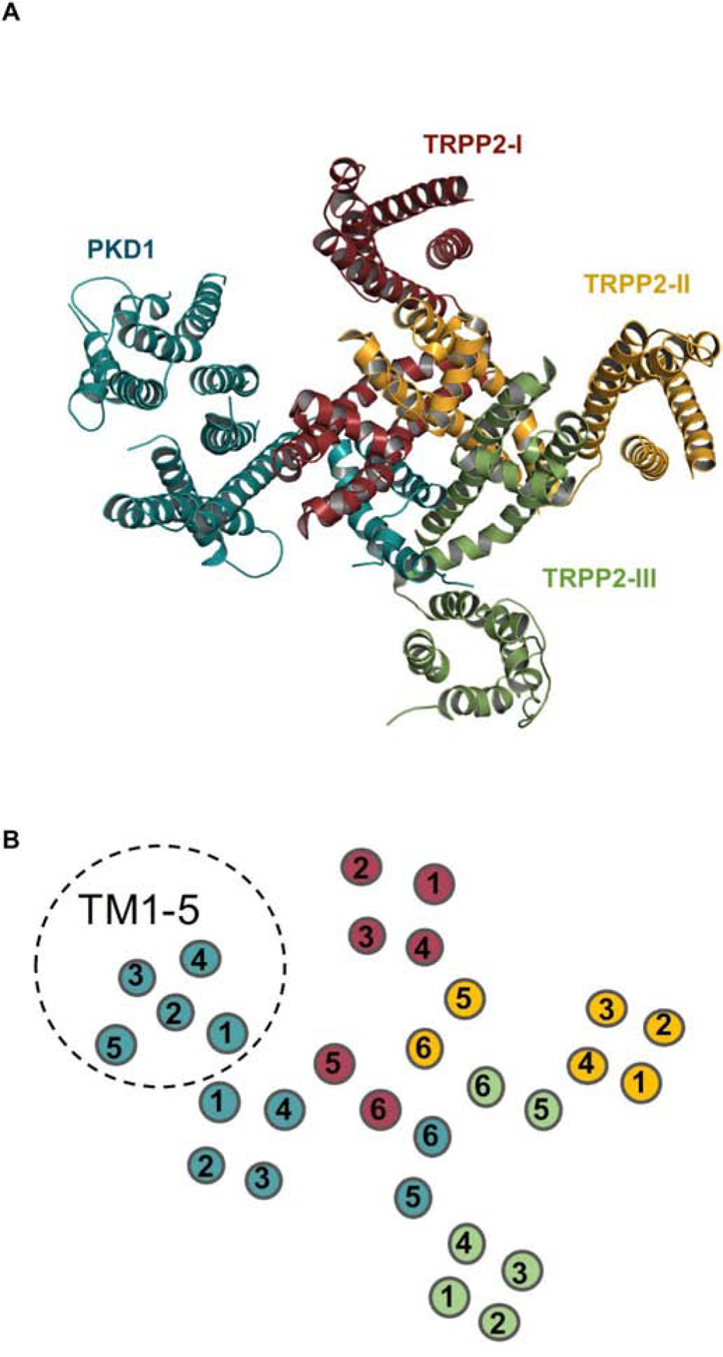 Figure 2.