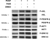 Figure 7