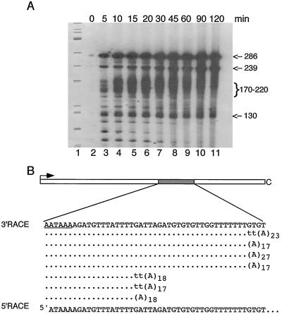 FIG. 5