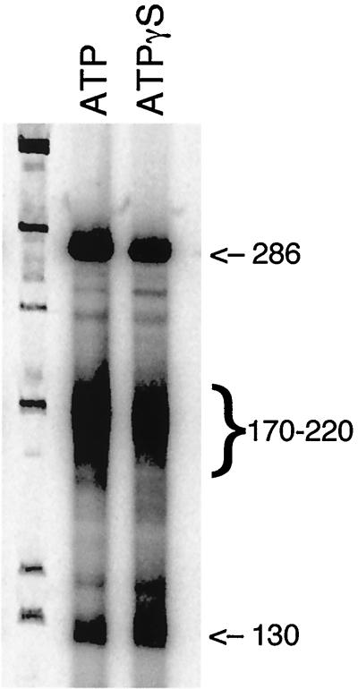 FIG. 7