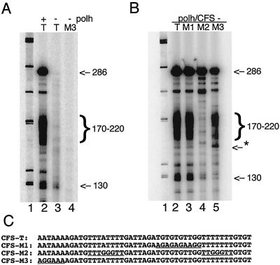 FIG. 6