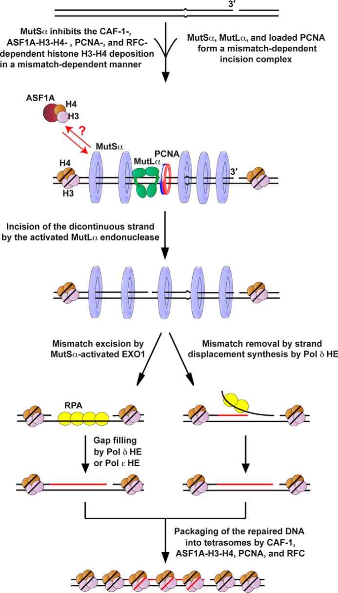 FIGURE 11.