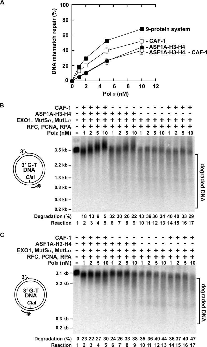 FIGURE 9.