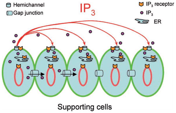 Figure 7