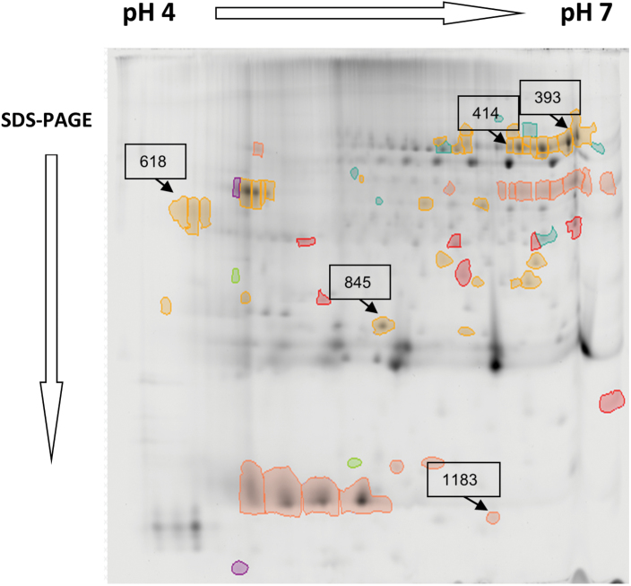 Fig. 7.