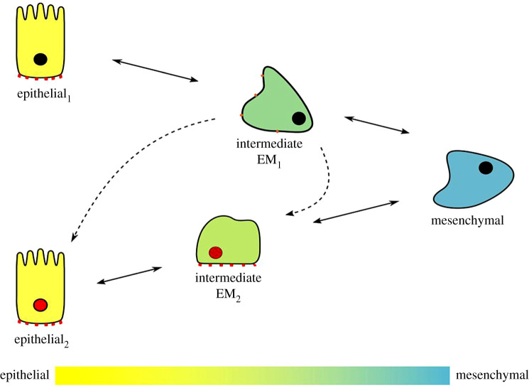 Figure 3.