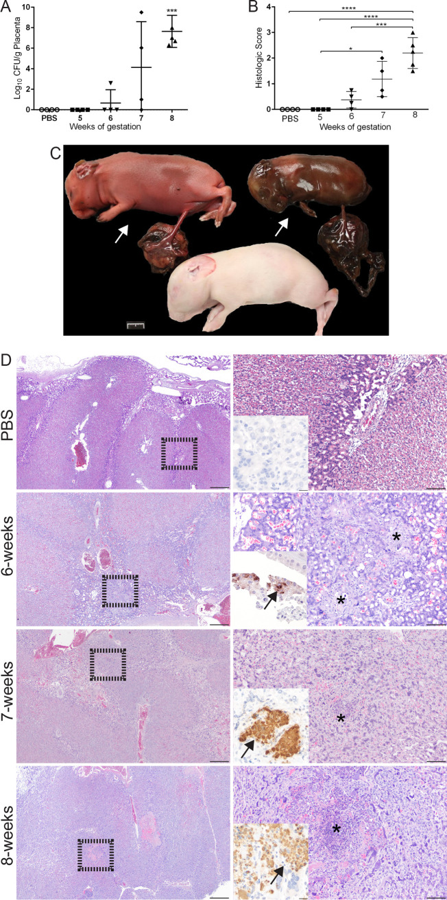 FIG 2