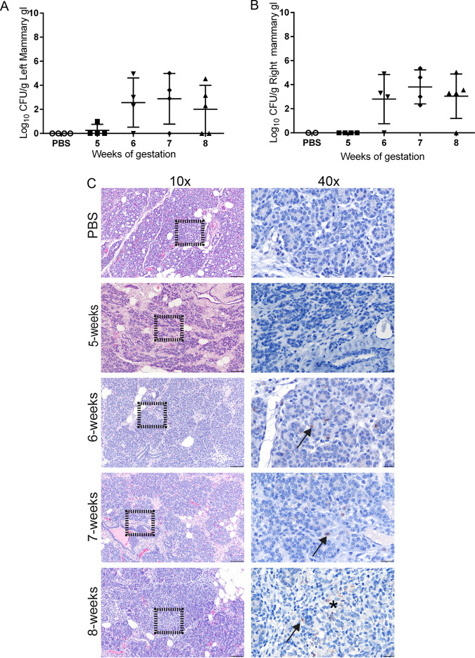 FIG 3