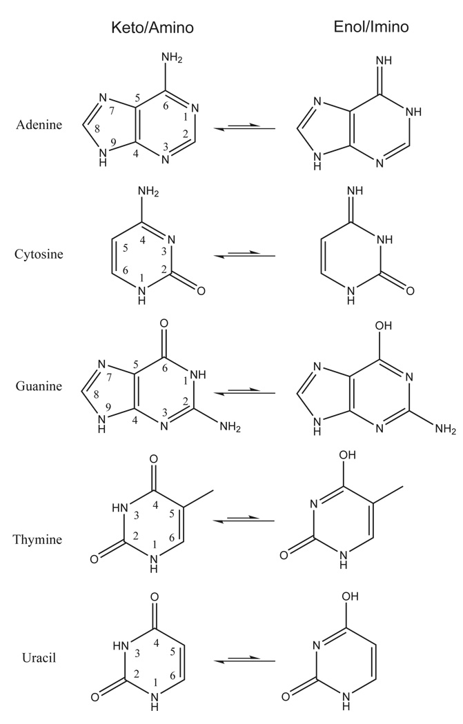 FIG. 5