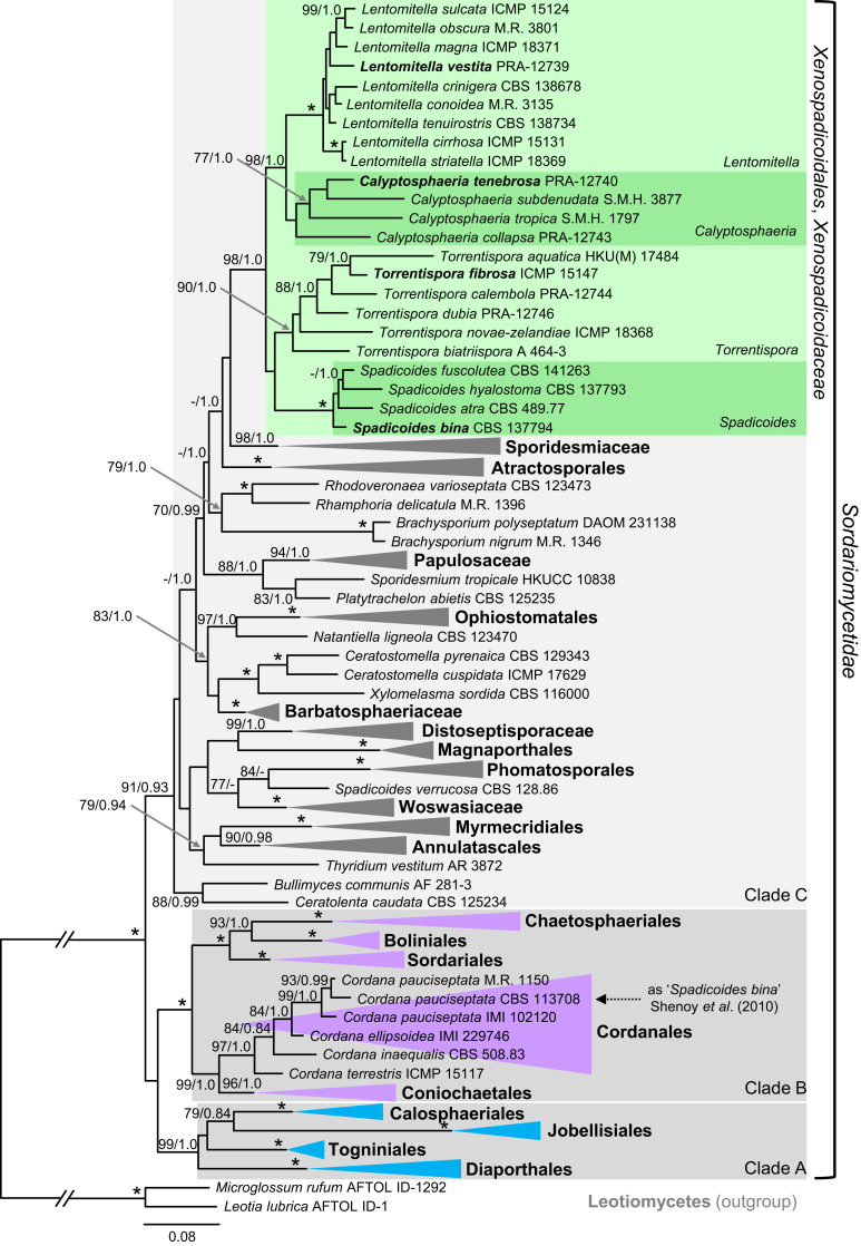 Fig. 2