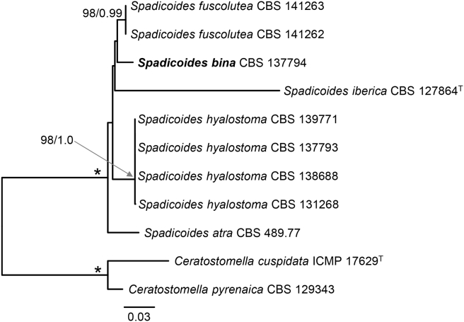 graphic file with name figs1.jpg