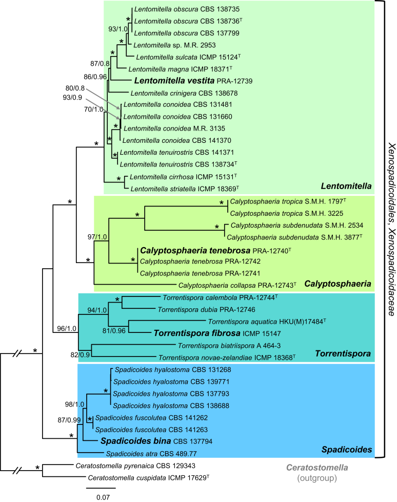 Fig. 1