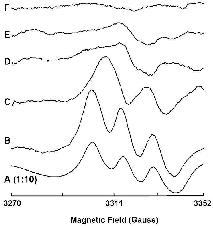 Fig. 10