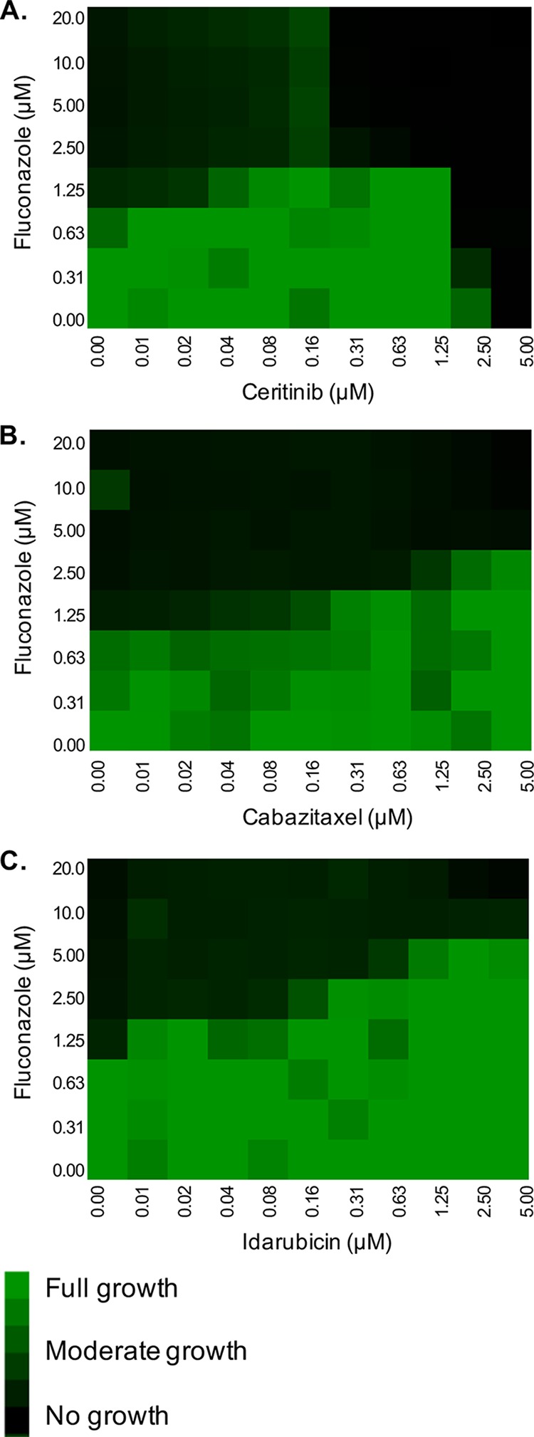 FIG 2