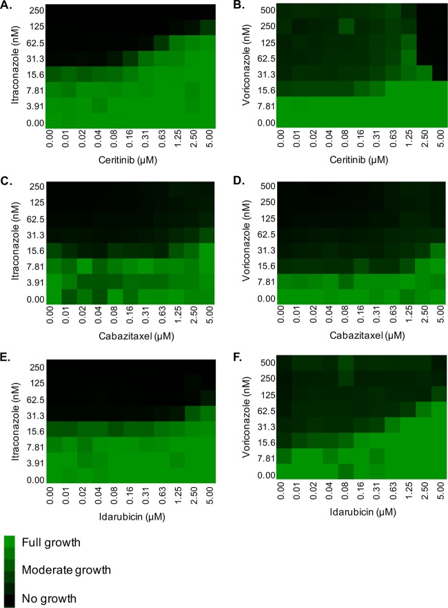 FIG 3