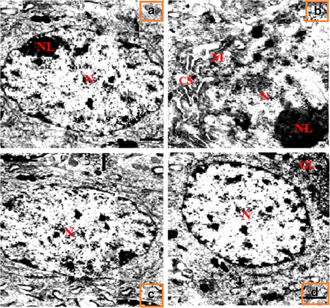 Fig. 11