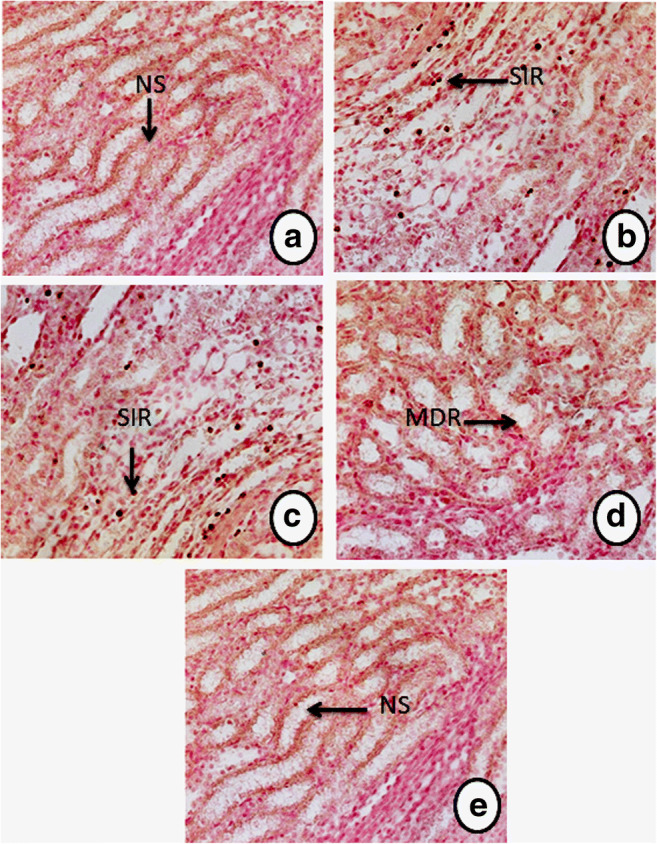 Fig. 9