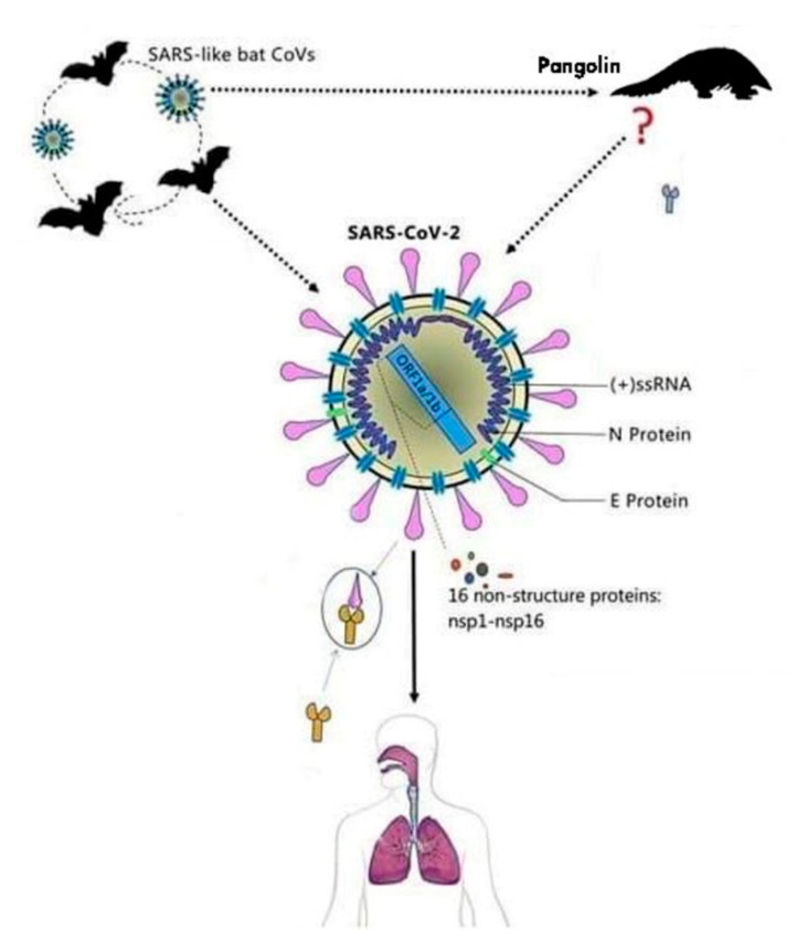 Figure 2