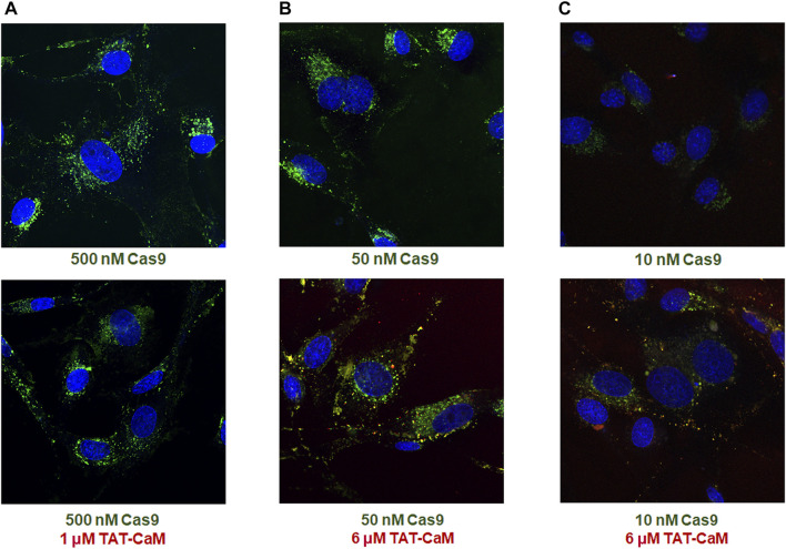 FIGURE 3